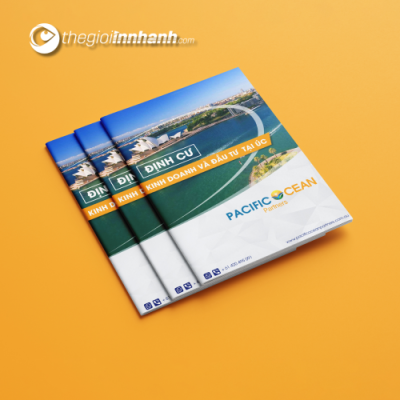 Mẫu Catalogue - 04