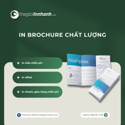 In Brochure Chất Lượng