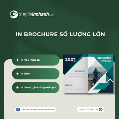 In Brochure Số Lượng Lớn