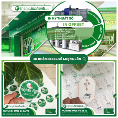 In Nhãn Decal Số Lượng Lớn