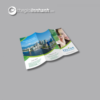 Mẫu Brochure - 01