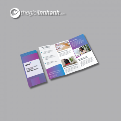 Mẫu Brochure - 02