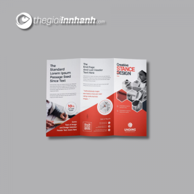 Mẫu Brochure - 04