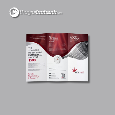 Mẫu Brochure - 05
